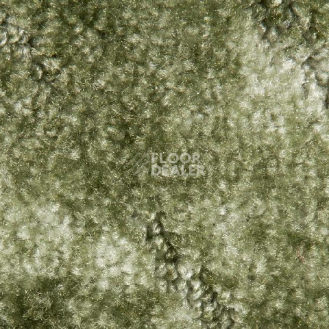 Ковролин Associated Weavers Tango 20 фото 1 | FLOORDEALER
